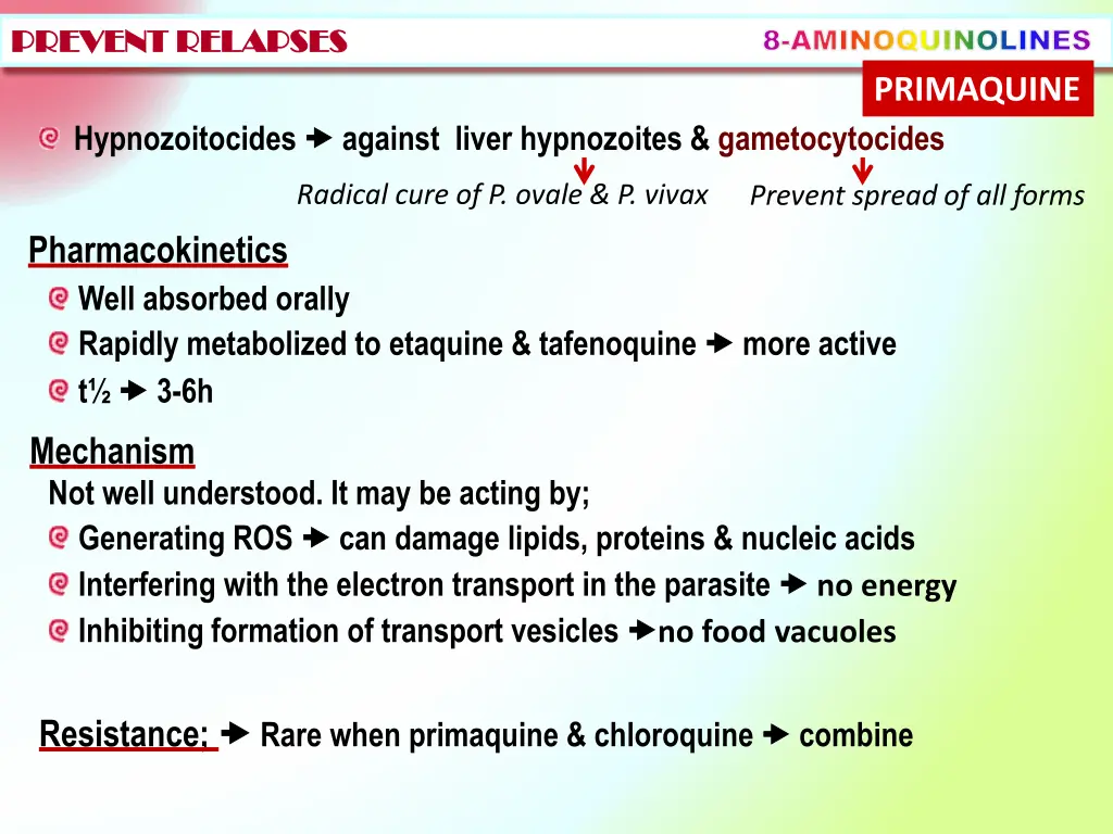 8 aminoquinolines primaquine