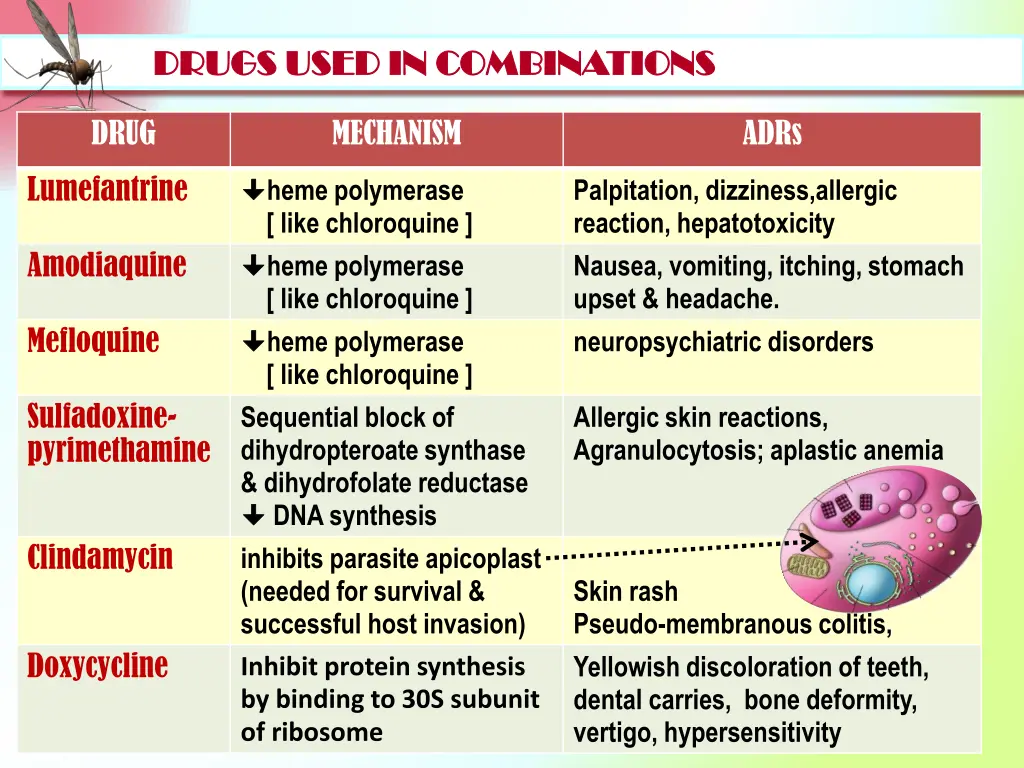 drugs used in combinations drugs used