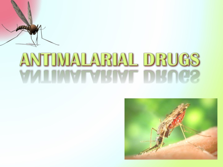 file anopheles albimanus mosquito jpg