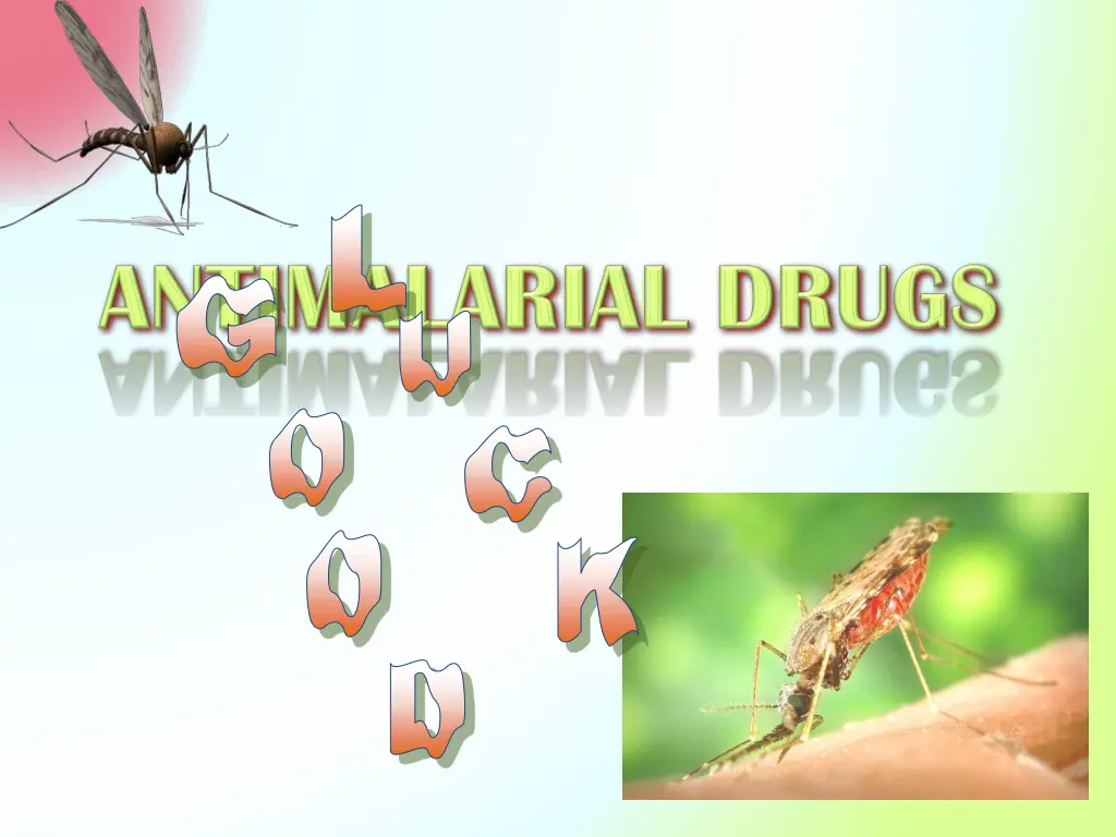slide19