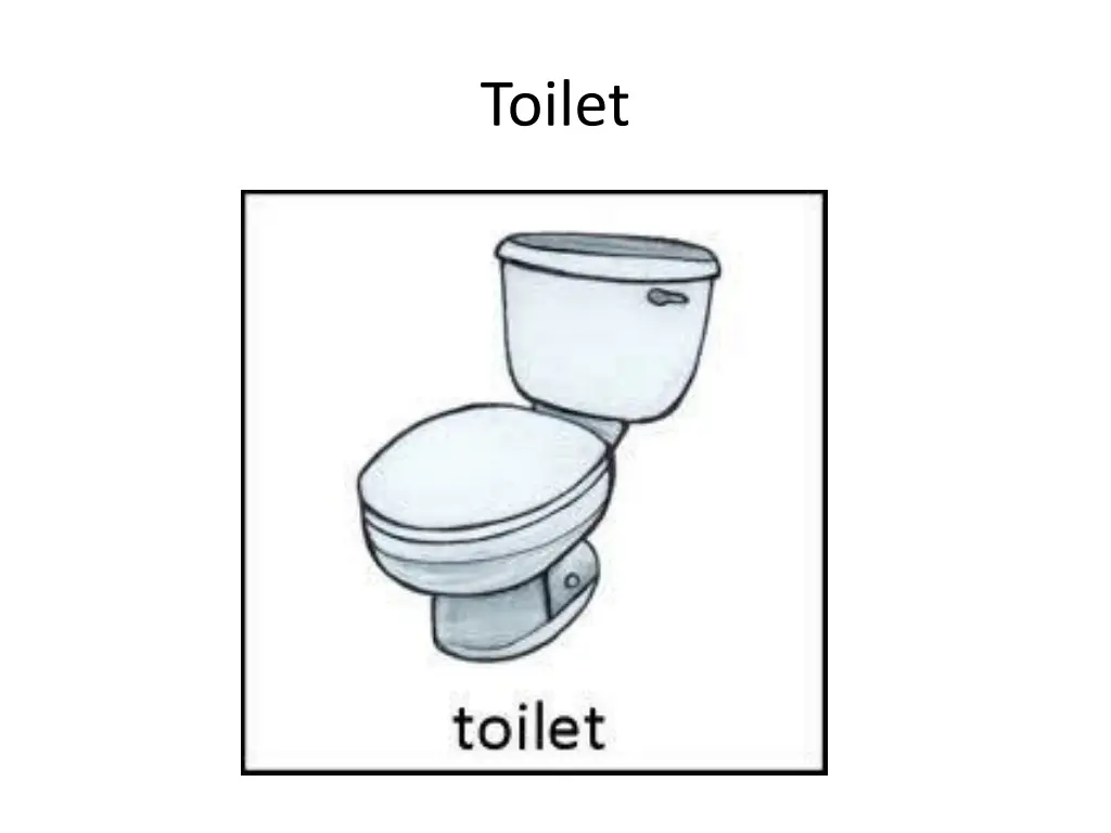 toilet