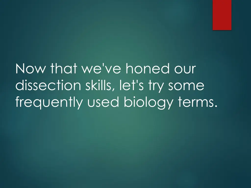 now that we ve honed our dissection skills