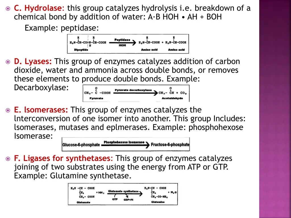 c hydrolase this group catalyzes hydrolysis