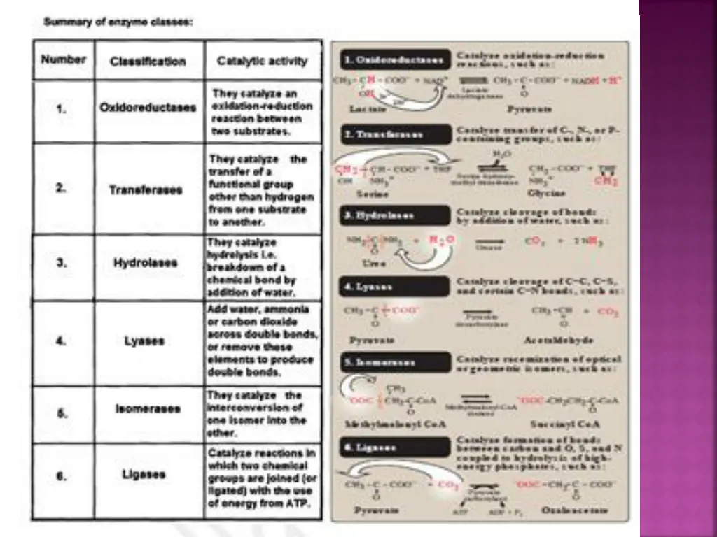 slide5