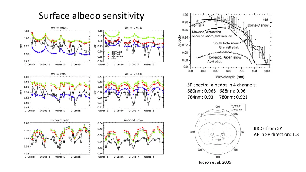 surface albedo sensitivity