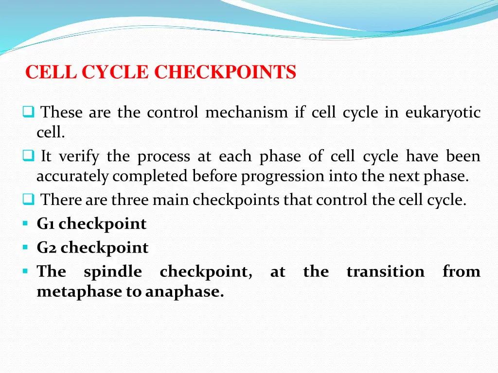 cell cycle checkpoints