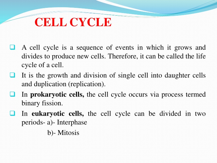 cell cycle