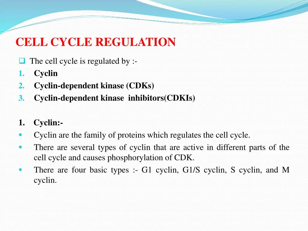 cell cycle regulation