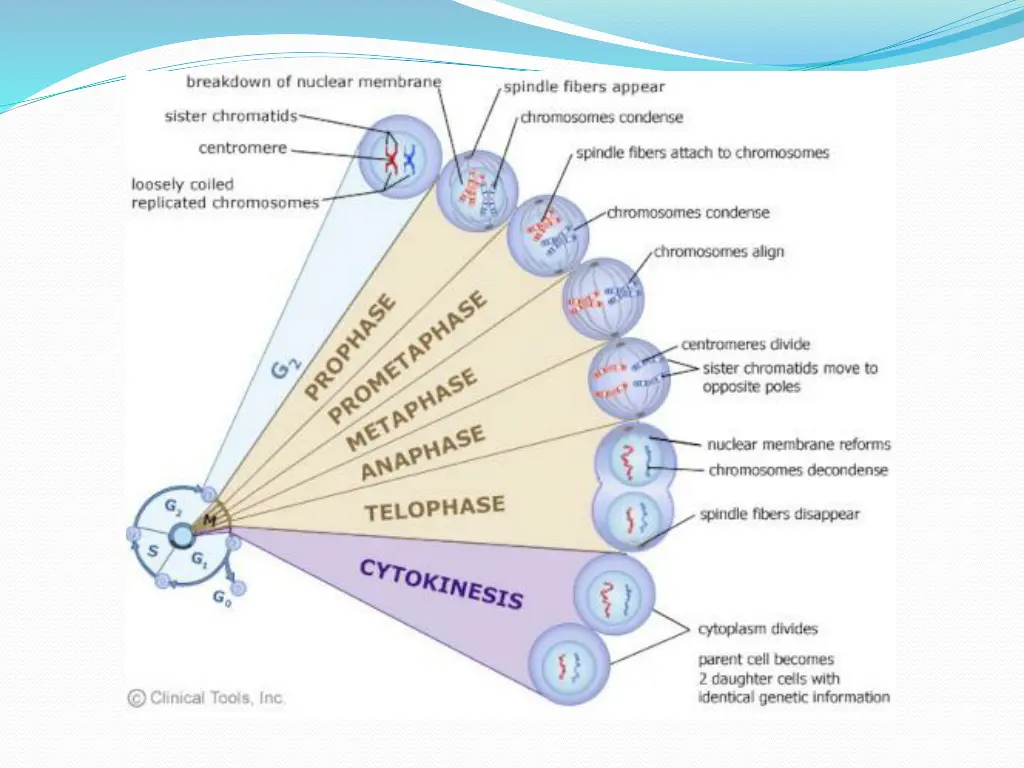 slide5