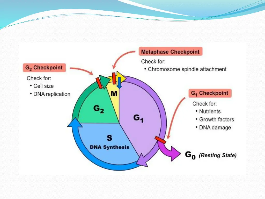 slide7