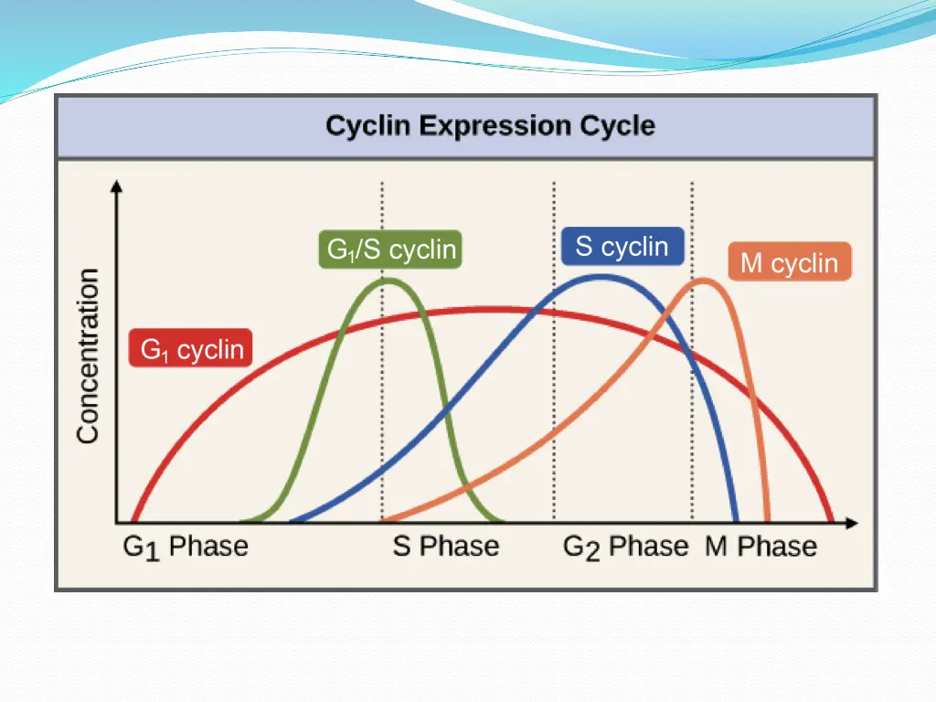 slide9