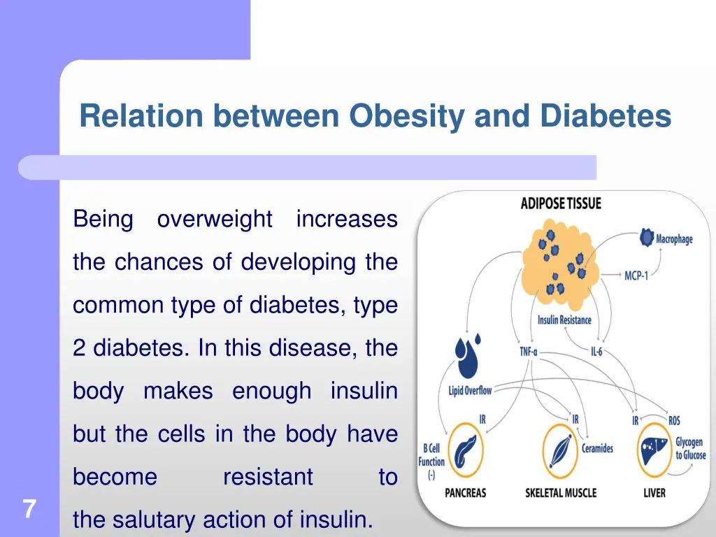 relation between obesity and diabetes 1