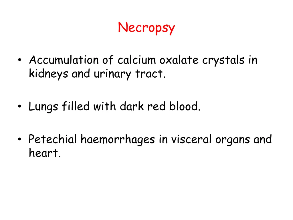 necropsy