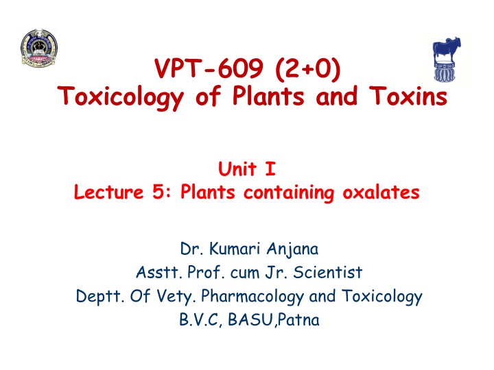 vpt 609 2 0