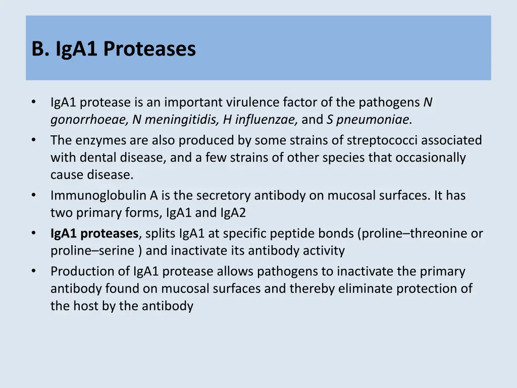 b iga1 proteases