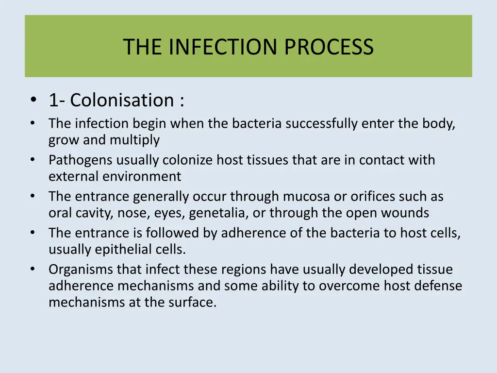 the infection process