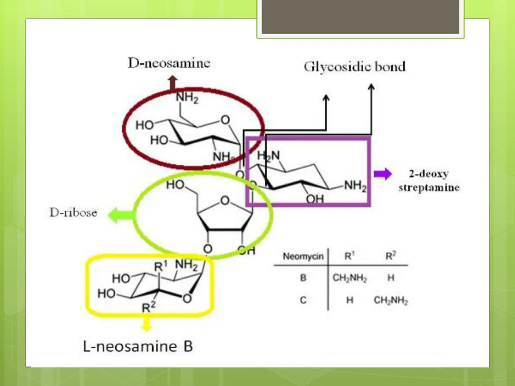slide18