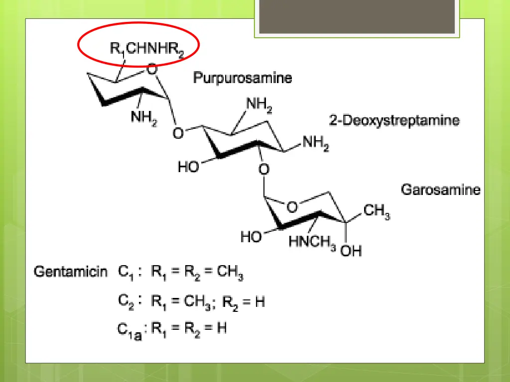 slide23
