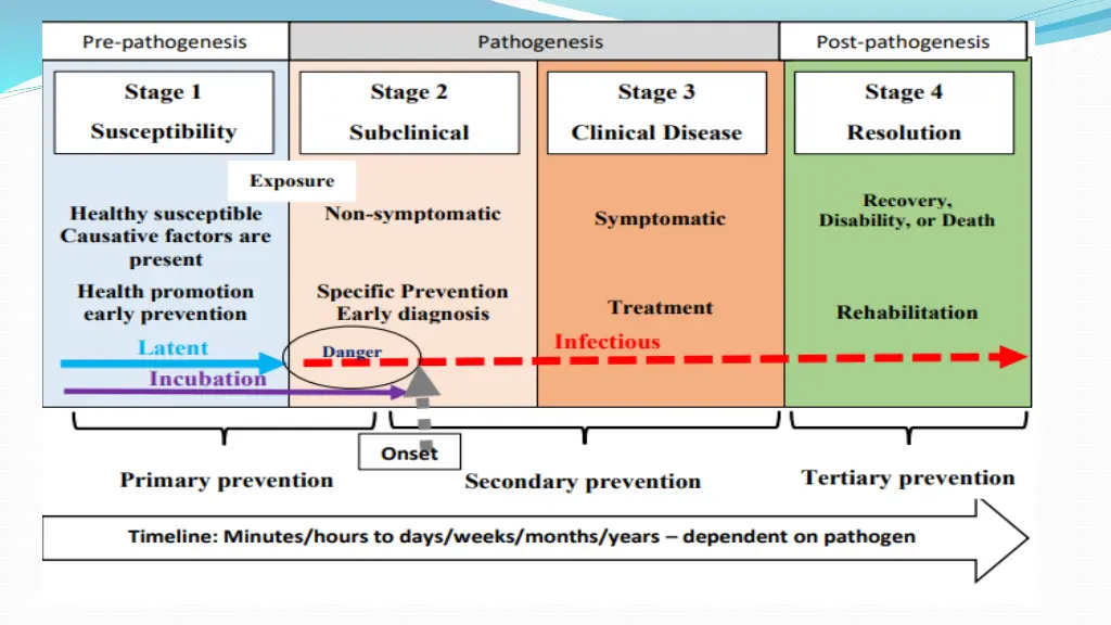 slide21