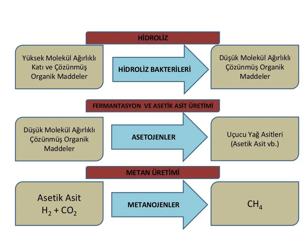 slide12