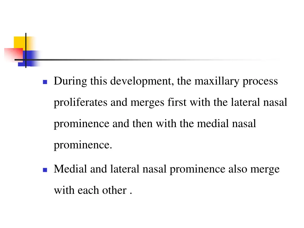 during this development the maxillary process
