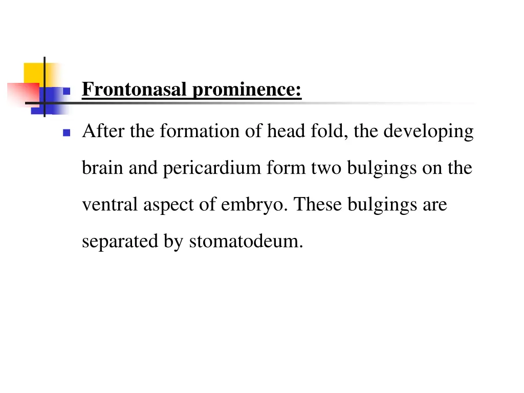 frontonasal prominence