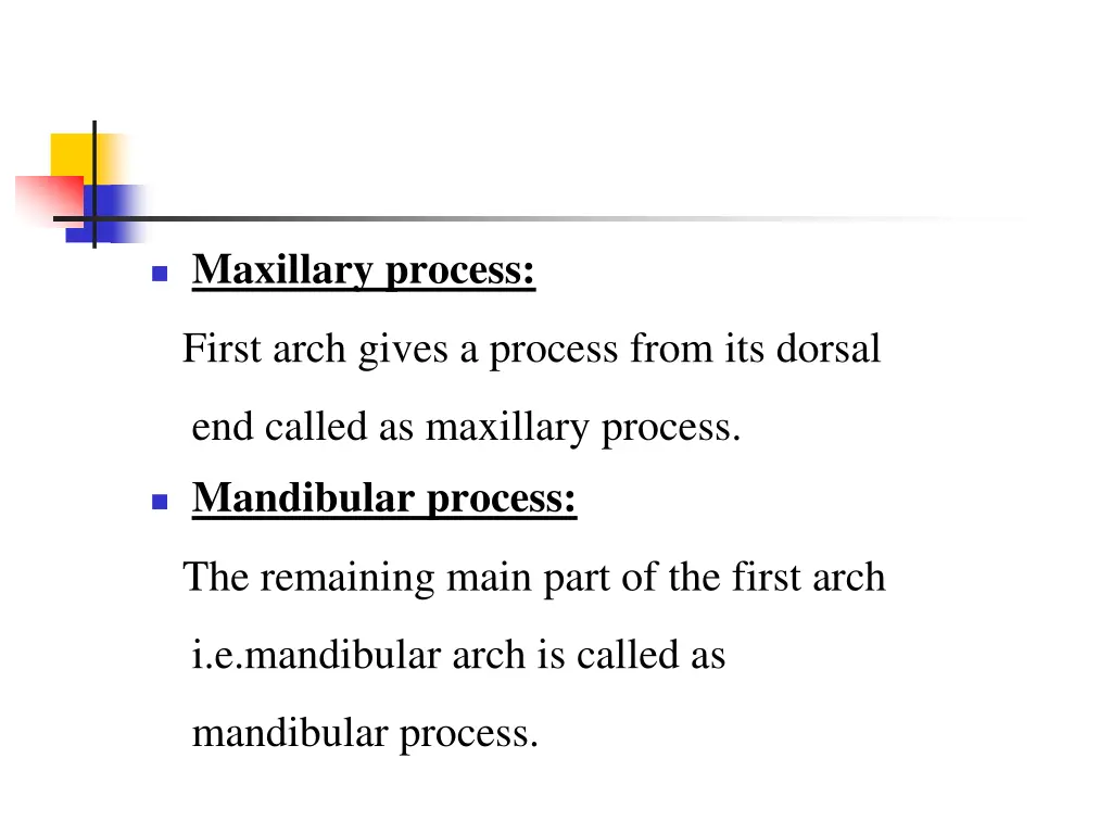 maxillary process