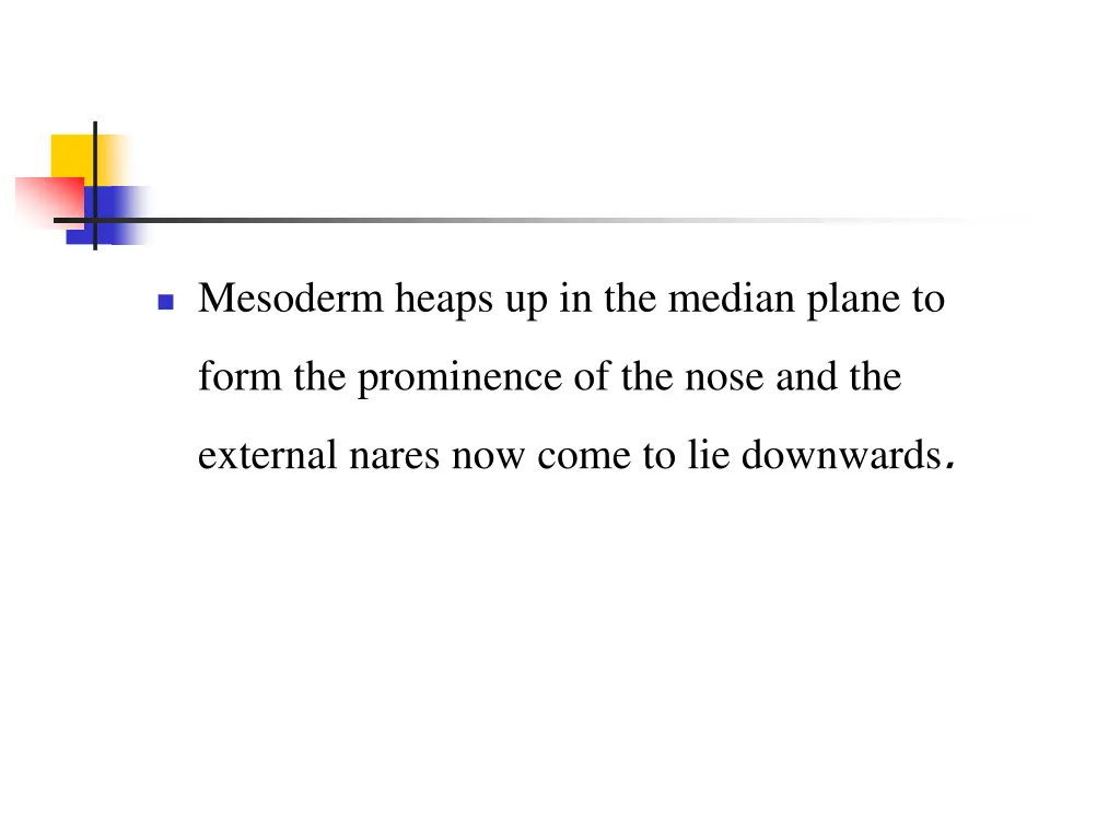 mesoderm heaps up in the median plane to