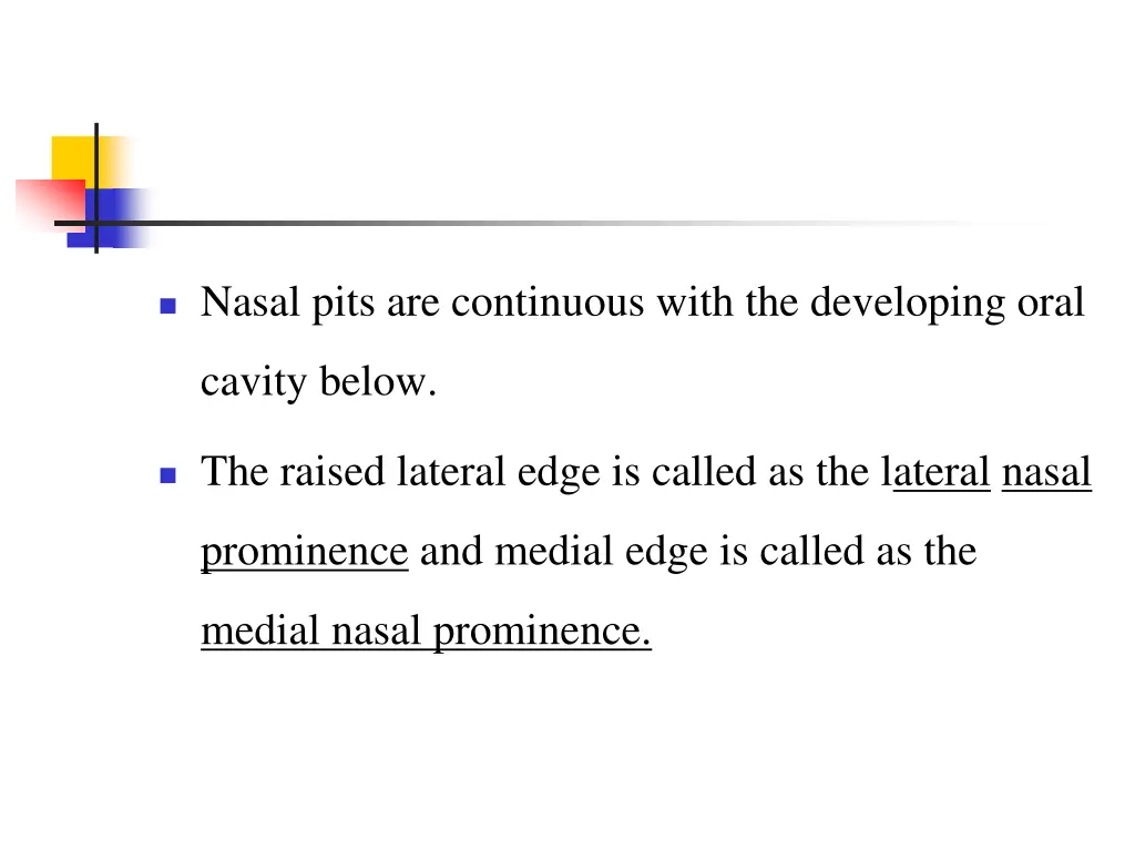 nasal pits are continuous with the developing oral