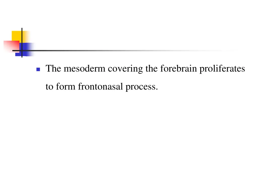 the mesoderm covering the forebrain proliferates