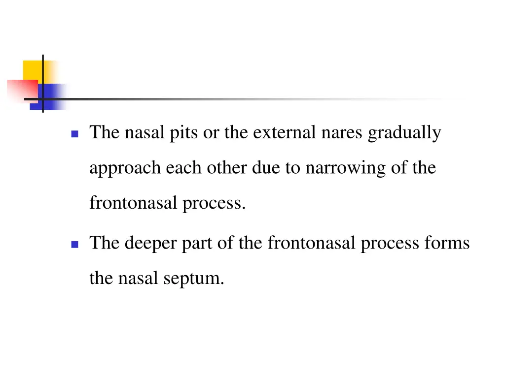 the nasal pits or the external nares gradually