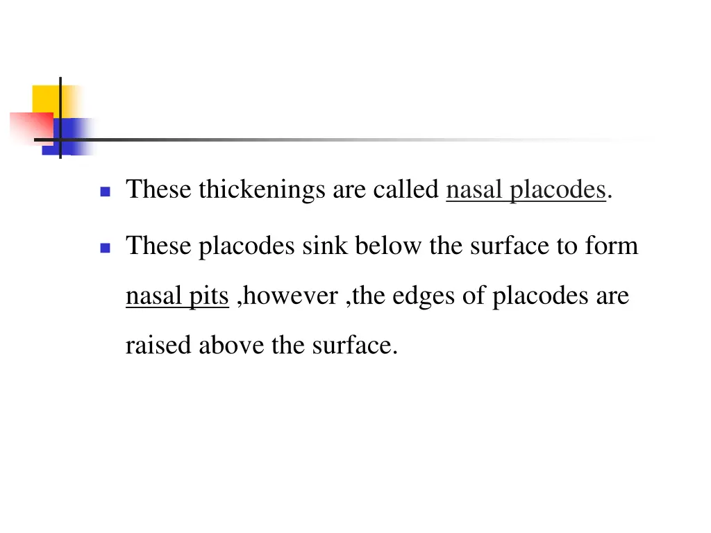 these thickenings are called nasal placodes
