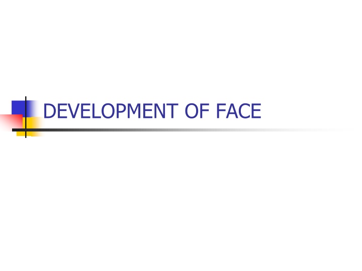 development of face