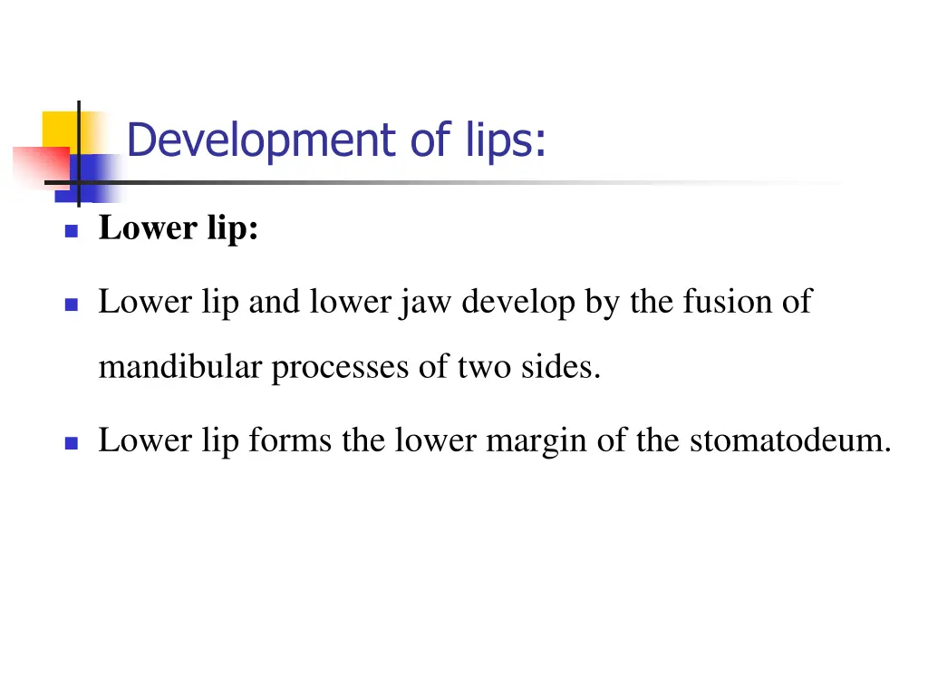 development of lips