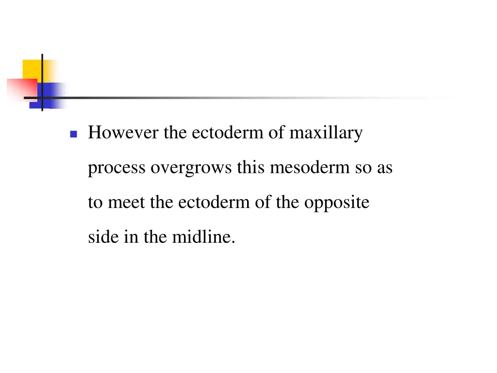 however the ectoderm of maxillary