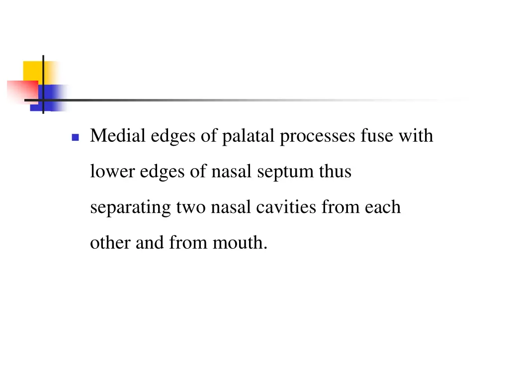 medial edges of palatal processes fuse with