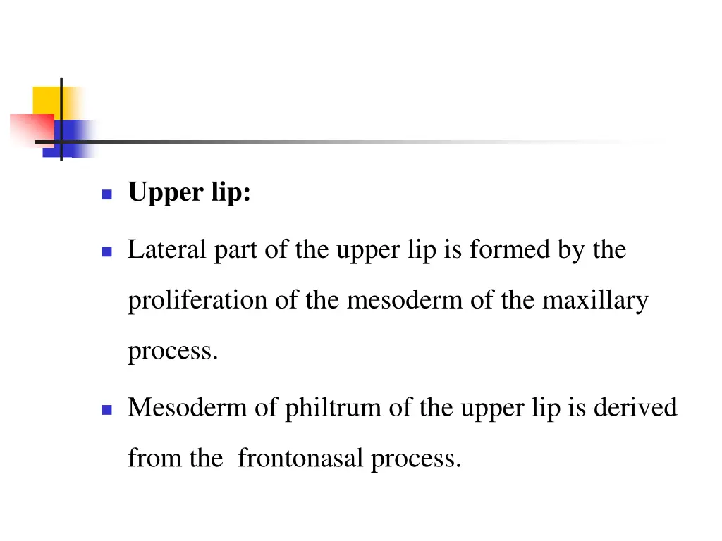 upper lip