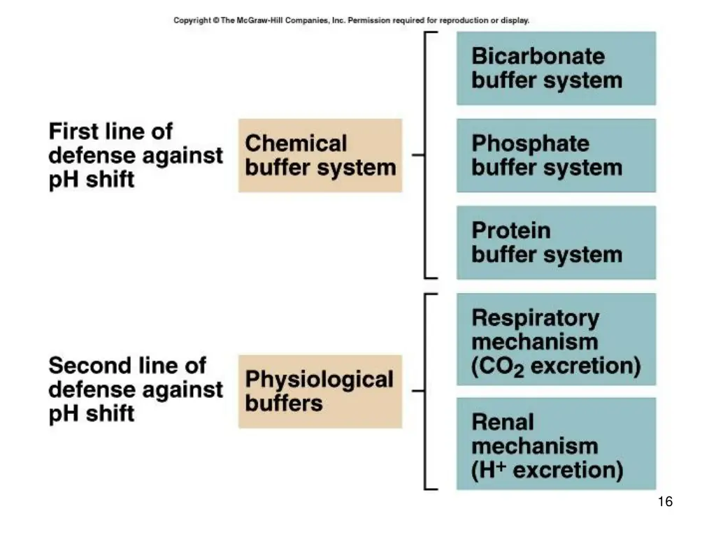 slide16