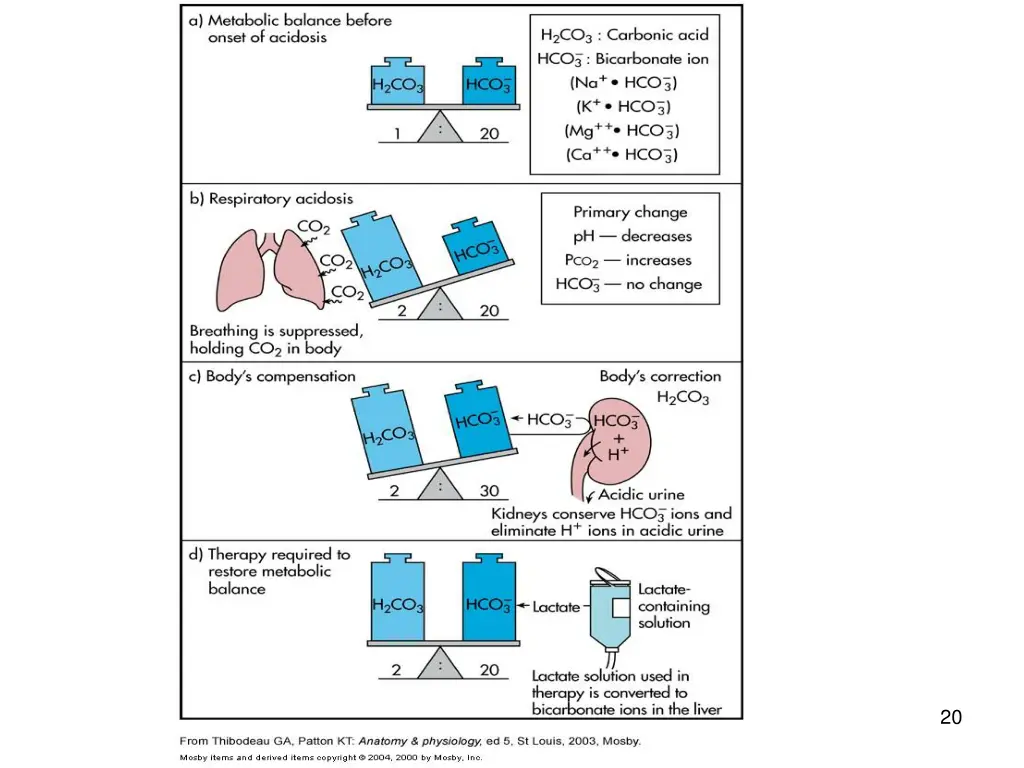 slide20