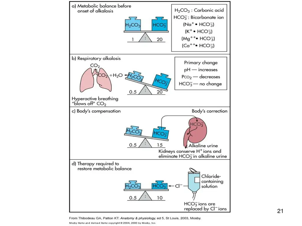 slide21