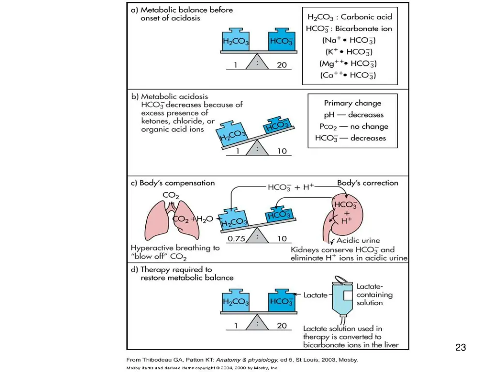 slide23
