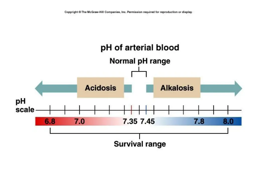 slide7