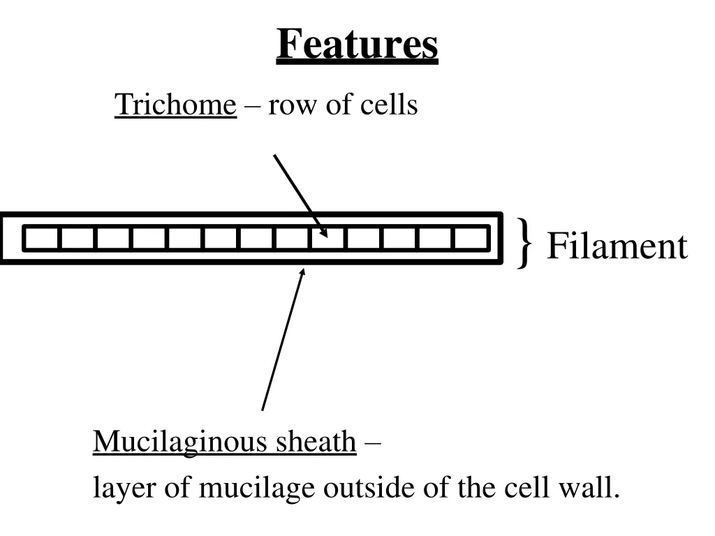 features