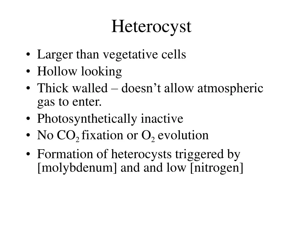 heterocyst 1