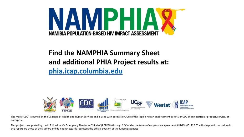 find the namphia summary sheet and additional