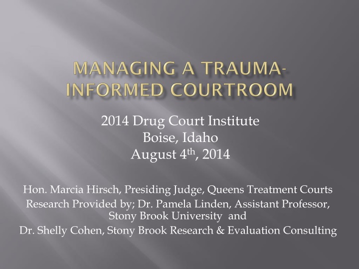 2014 drug court institute boise idaho august