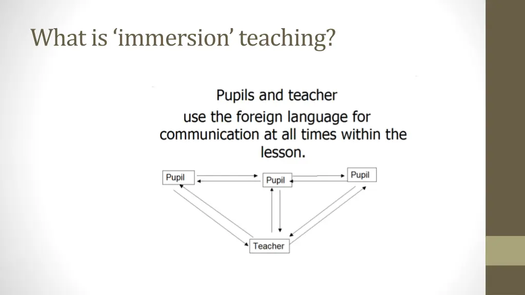 what is immersion teaching