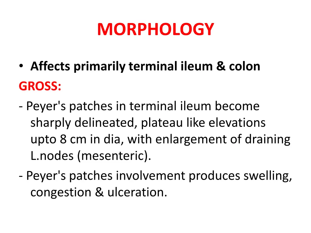 morphology