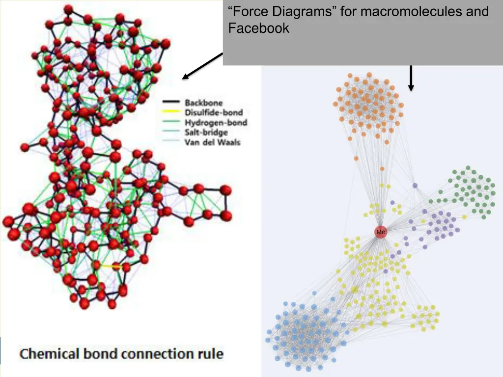 force diagrams for macromolecules and facebook
