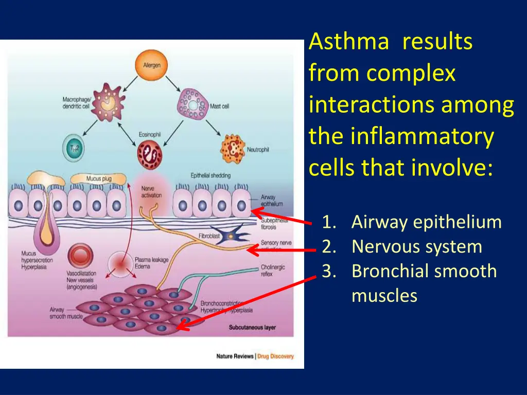 asthma results from complex interactions among
